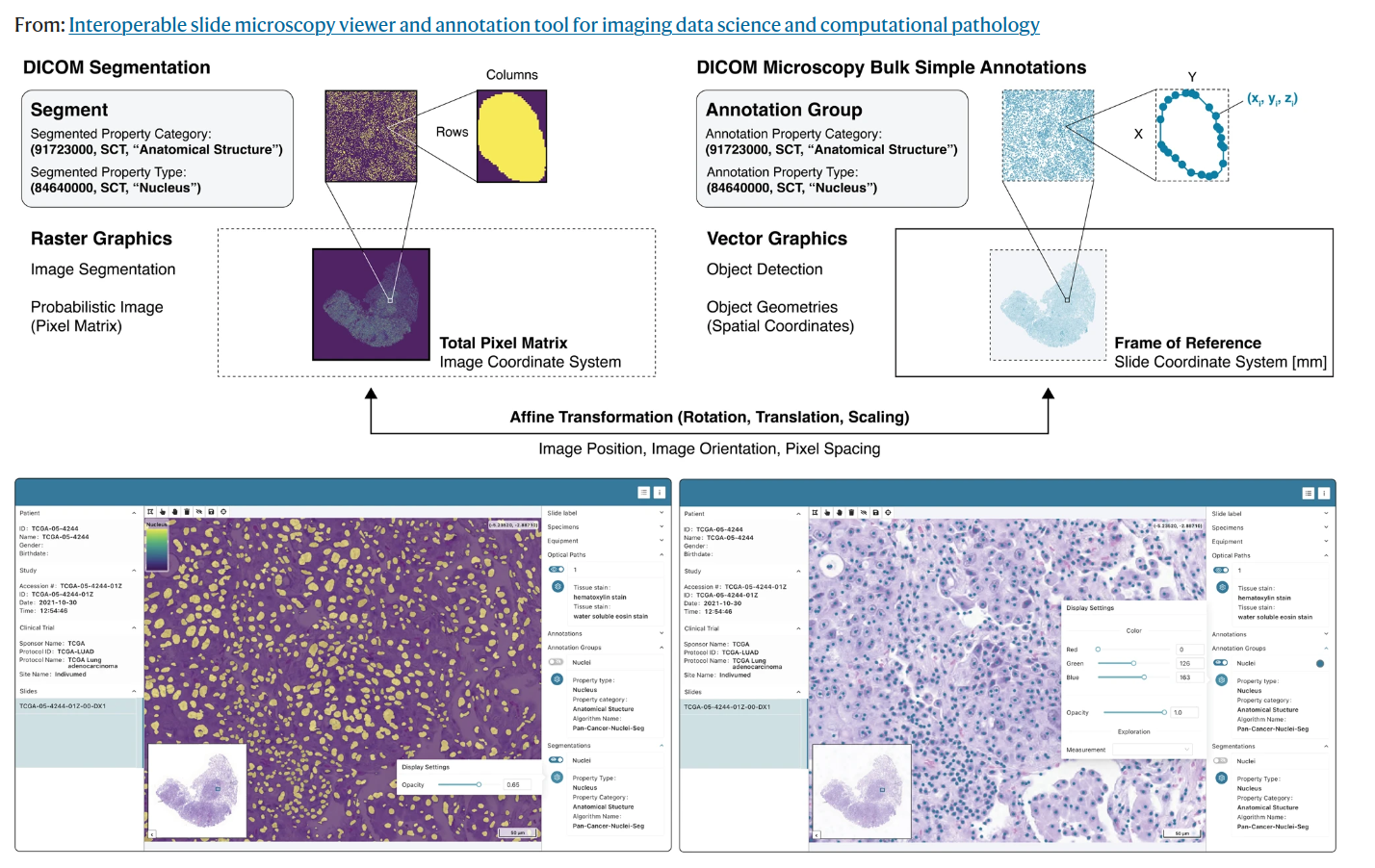 Overview DICOM annotations: Segmentation IOD, Microscopy Bulk Simple Annotations IOD. Taken from https://doi.org/10.1038/s41467-023-37224-2.